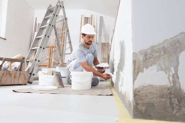 Best Mold Odor Removal Services  in Pablo, MT