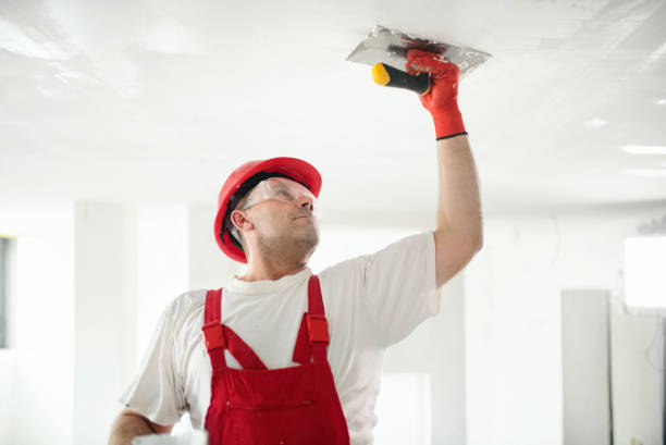Best Basement Mold Removal  in Pablo, MT